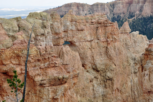 Black Birch Canyon at Bryce Canyon National Park